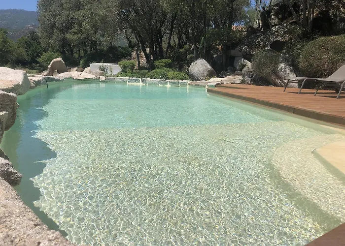 Domaine Pardini